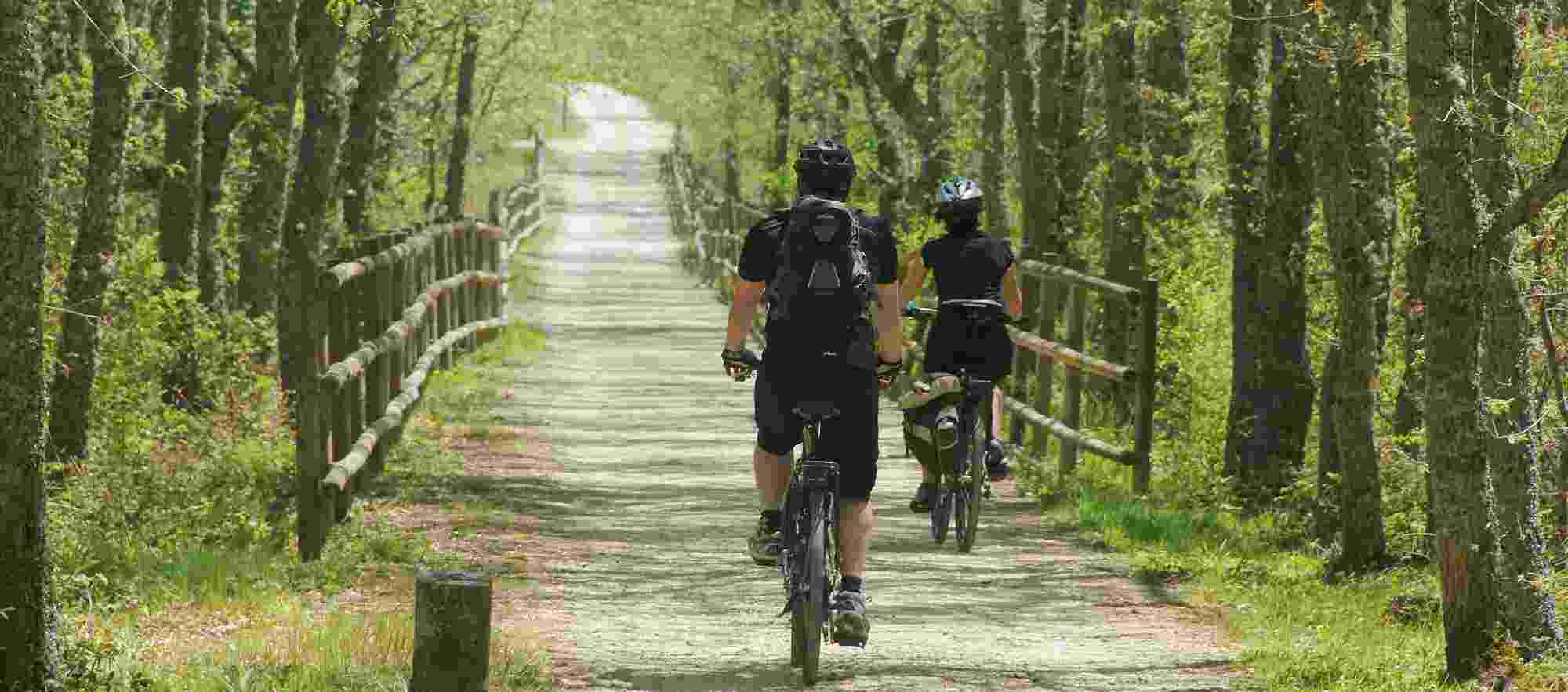 Cycling along cycle lane used to be railway line